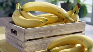 바나나를 매일 먹어야 하는 5가지 과학적 이유